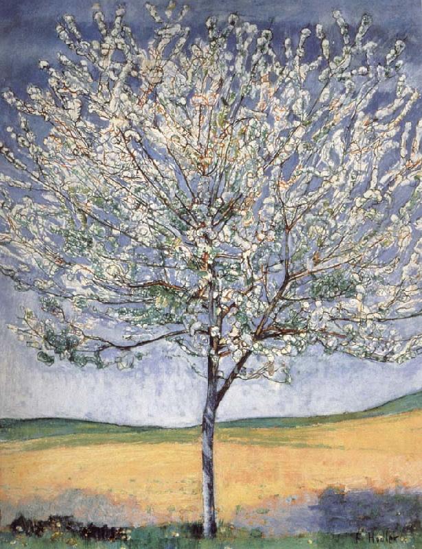 Ferdinand Hodler Cherry tree in bloom